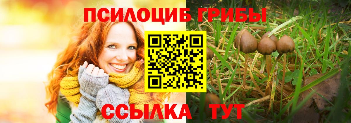 наркотики  Вход с VPN  Артёмовский  Псилоцибиновые грибы мухоморы 