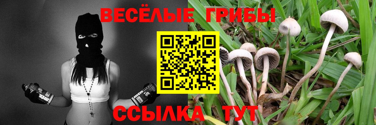 Галлюциногенные грибы мухоморы Артёмовский